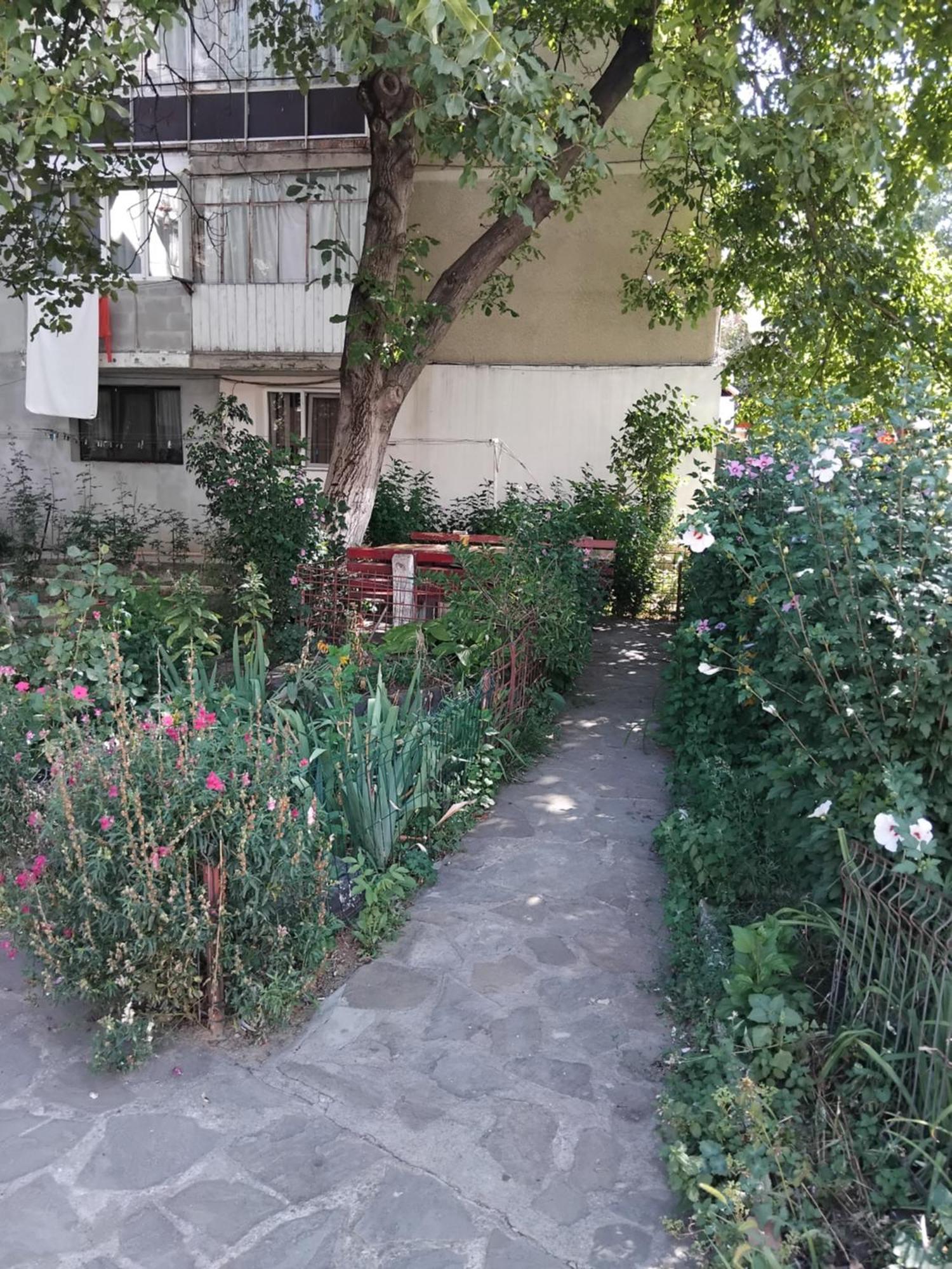 Apartament Rusu Нехою Екстериор снимка